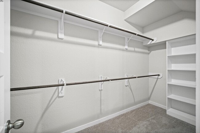 Building Photo - 144 Shining Pt Dr