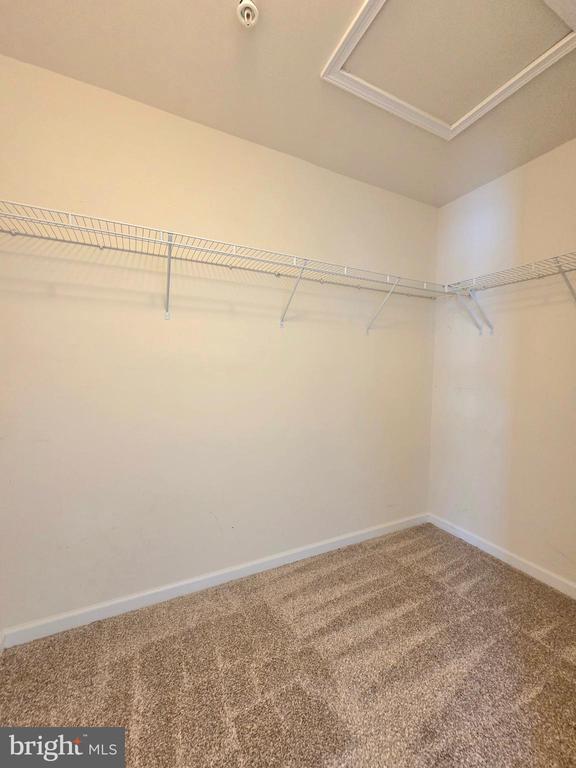 Building Photo - 1113 Red Hawk Way