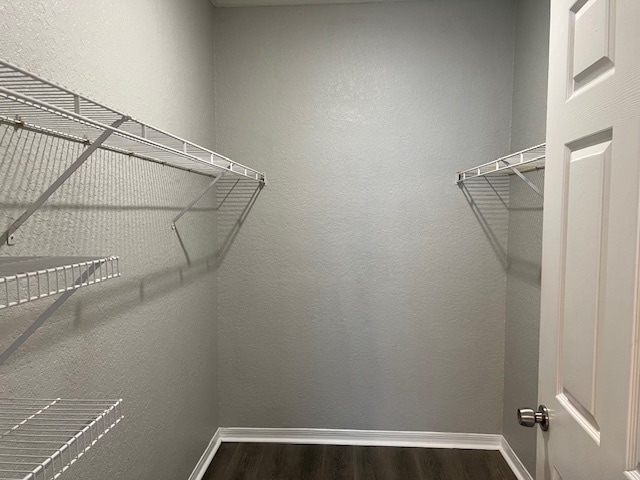 Building Photo - 837 Grand Regency Pointe