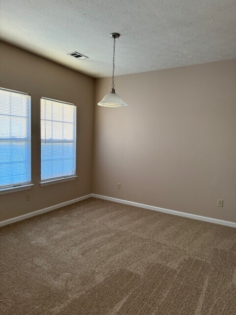 Building Photo - 2 Bedroom 2 bath Condo in Rivergate/Madiso...