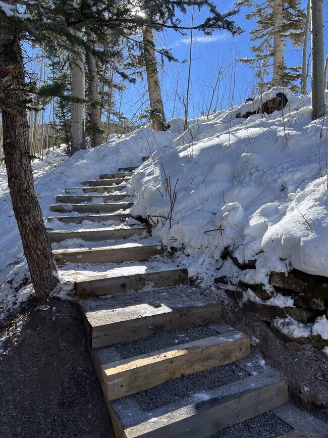 Building Photo - 116 Winterleaf Dr