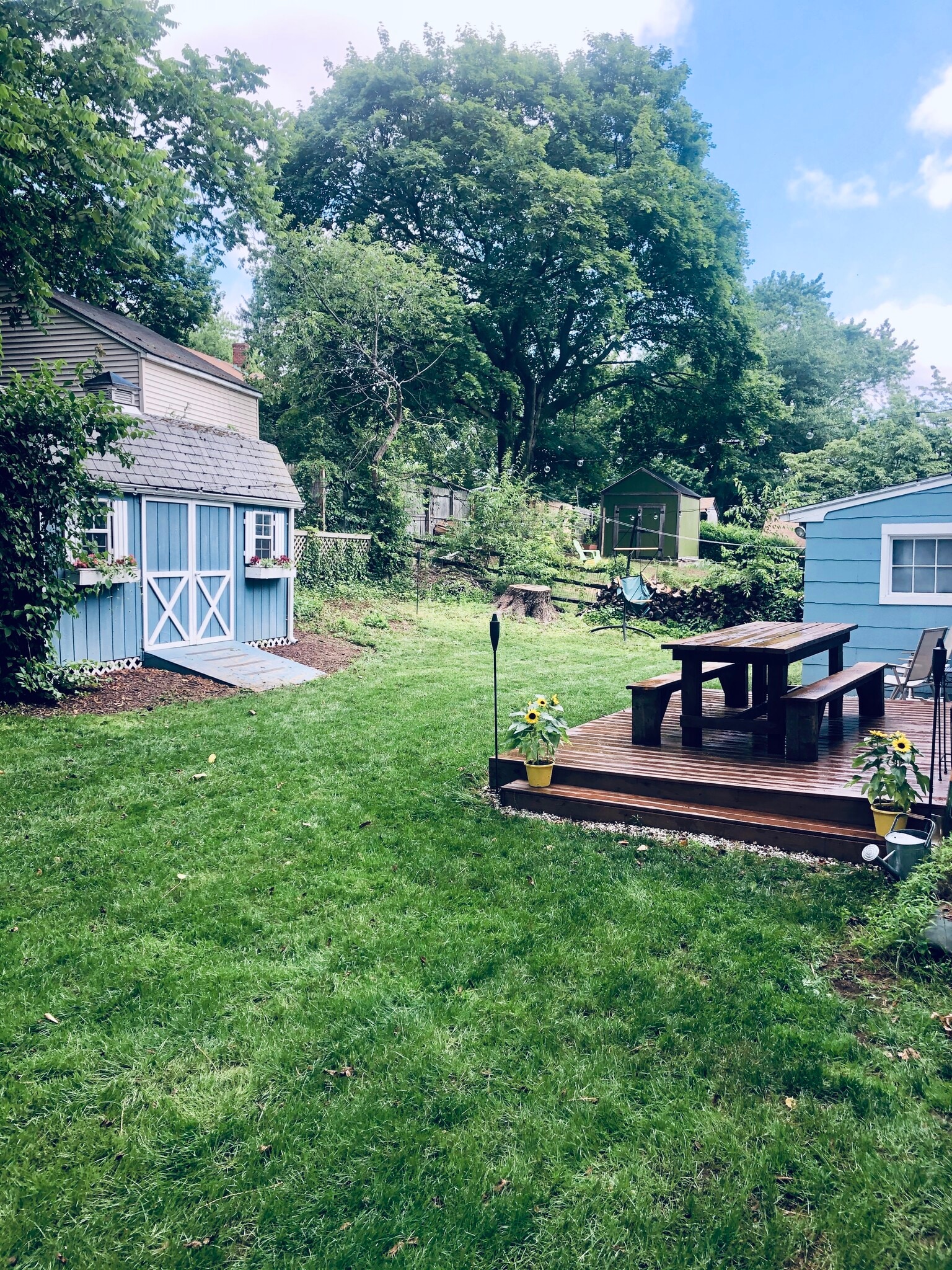Back Yard + Shed - 28 Greenlawn Dr