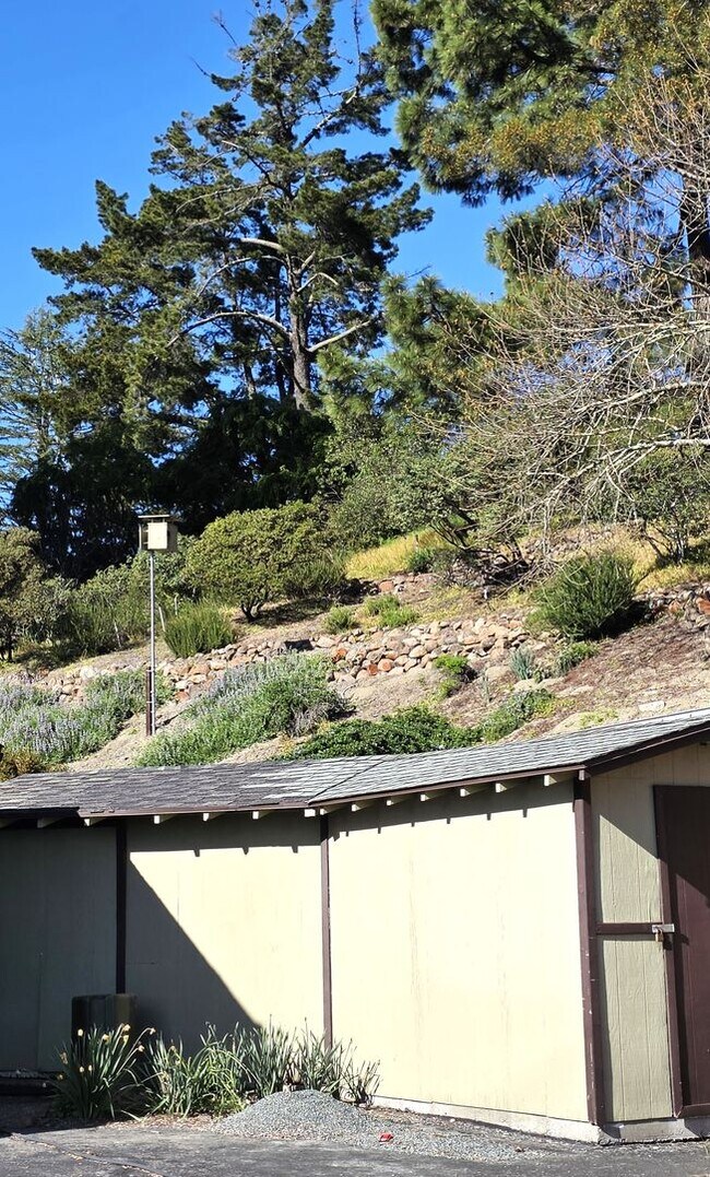 Building Photo - Fabulous Moraga 4bd+den/3ba Property with Stunning Views & Pool/Spa