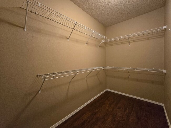 Building Photo - 4349 Santo Domingo St