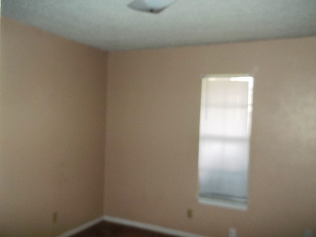 Building Photo - 1207 Ruiz Dr