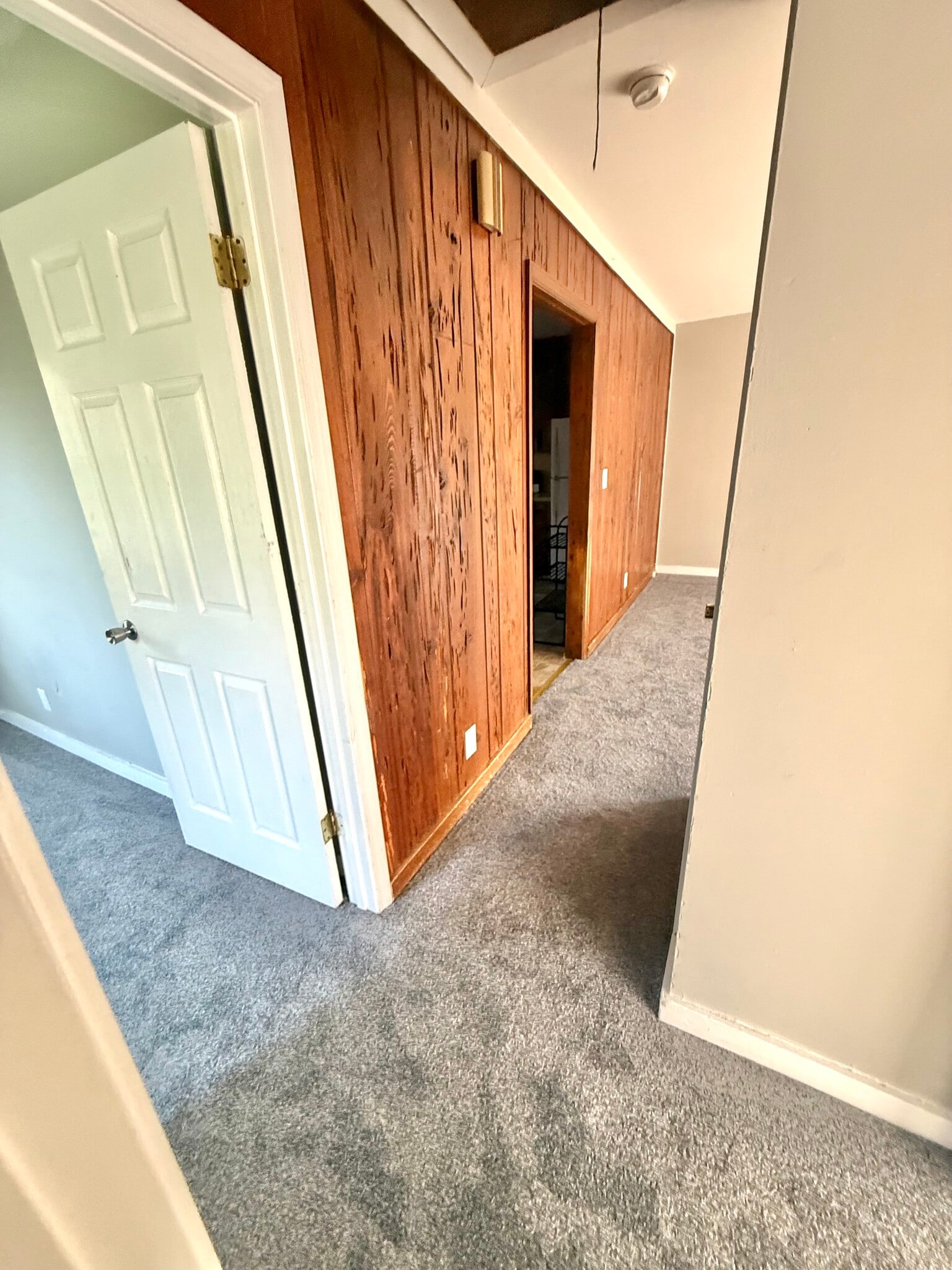 Hall - 101 Hatton St