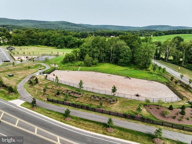 Building Photo - 2925 Fence Buster Ct