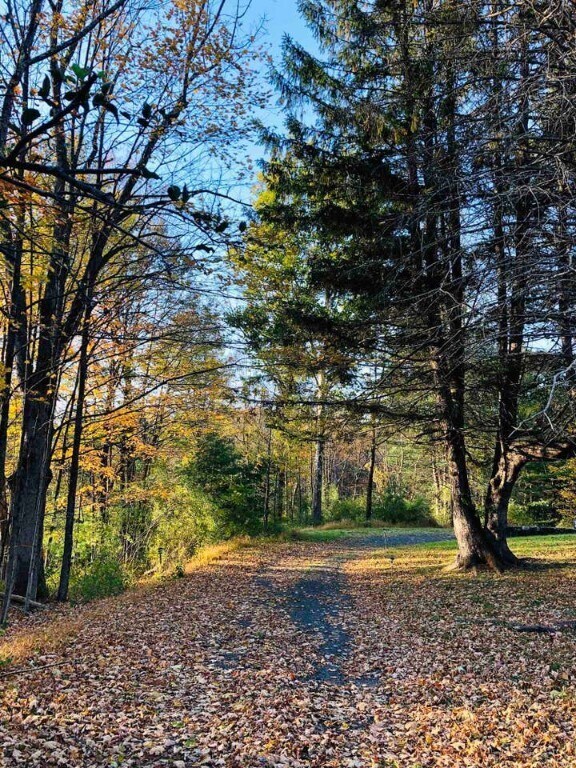 Building Photo - Woodstock/Hunter romantic getaway in nature on 3.5 acres