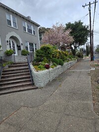 Building Photo - 203 Howard St