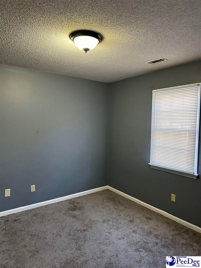 Building Photo - 1017 E National Cemetery Rd