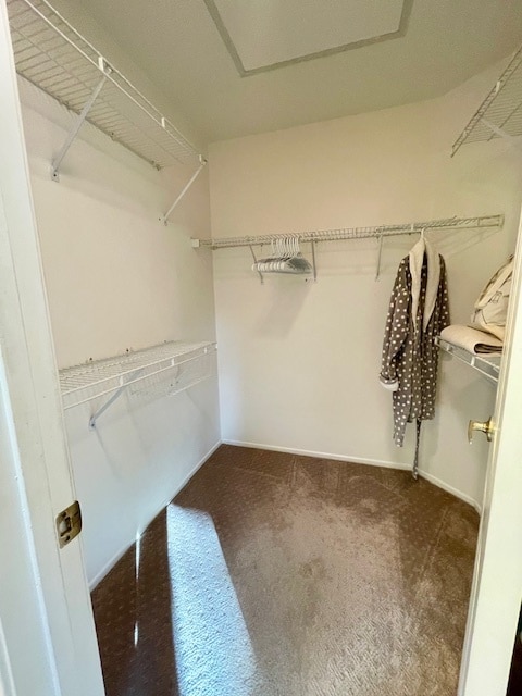 Building Photo - 31423 Sonoma Ln