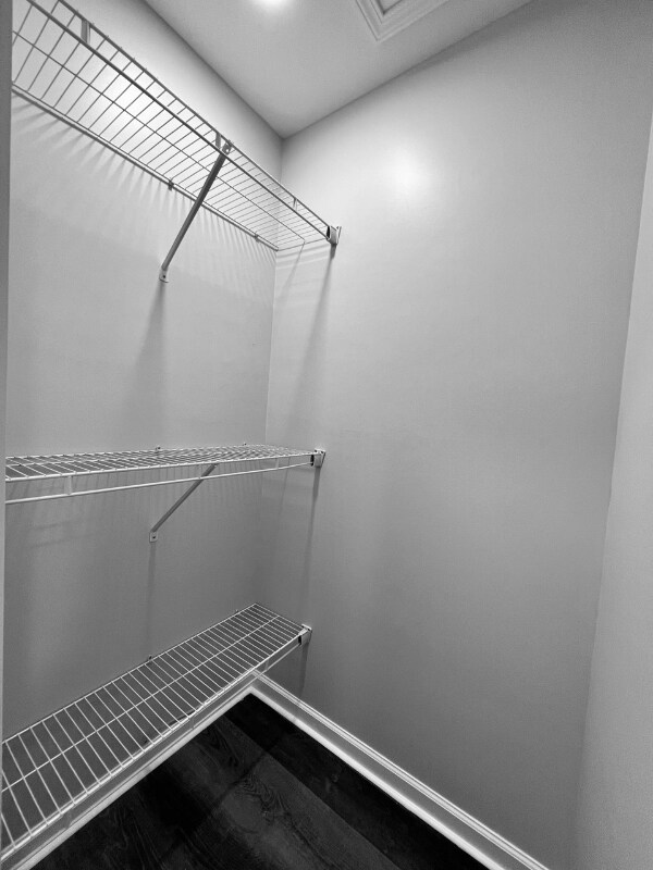 Building Photo - 313 Cabaret Ct