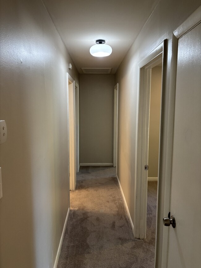 Building Photo - 505 Shamel Ct