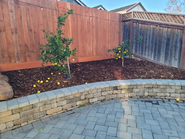 Building Photo - 8033 Horncastle Ave