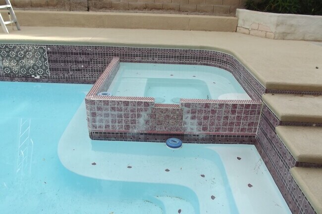 Building Photo - Swimming pool and spa