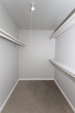 Building Photo - 2813 Ripplewood Dr