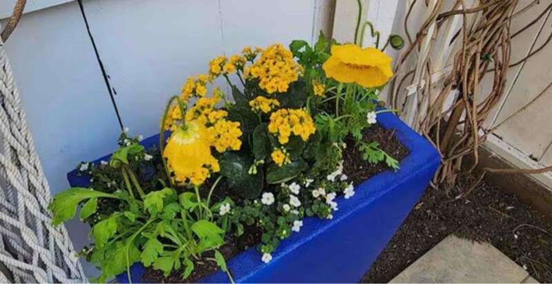 Building Photo - 3106 Broadway