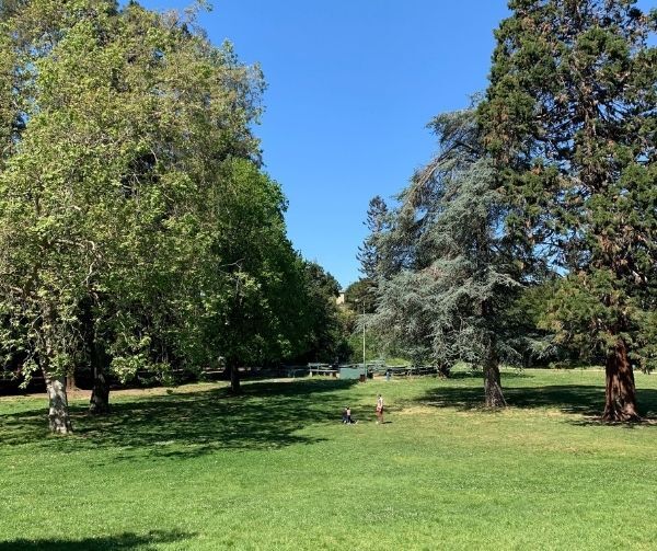 Dimond Park - 2938 Brookdale Ave