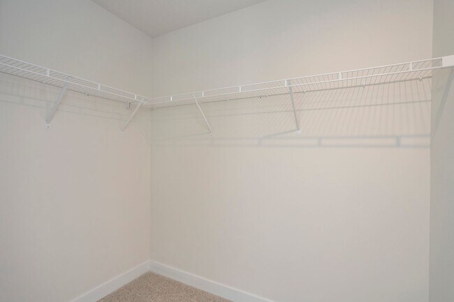 Building Photo - Beautiful One Level Home in Columbia!