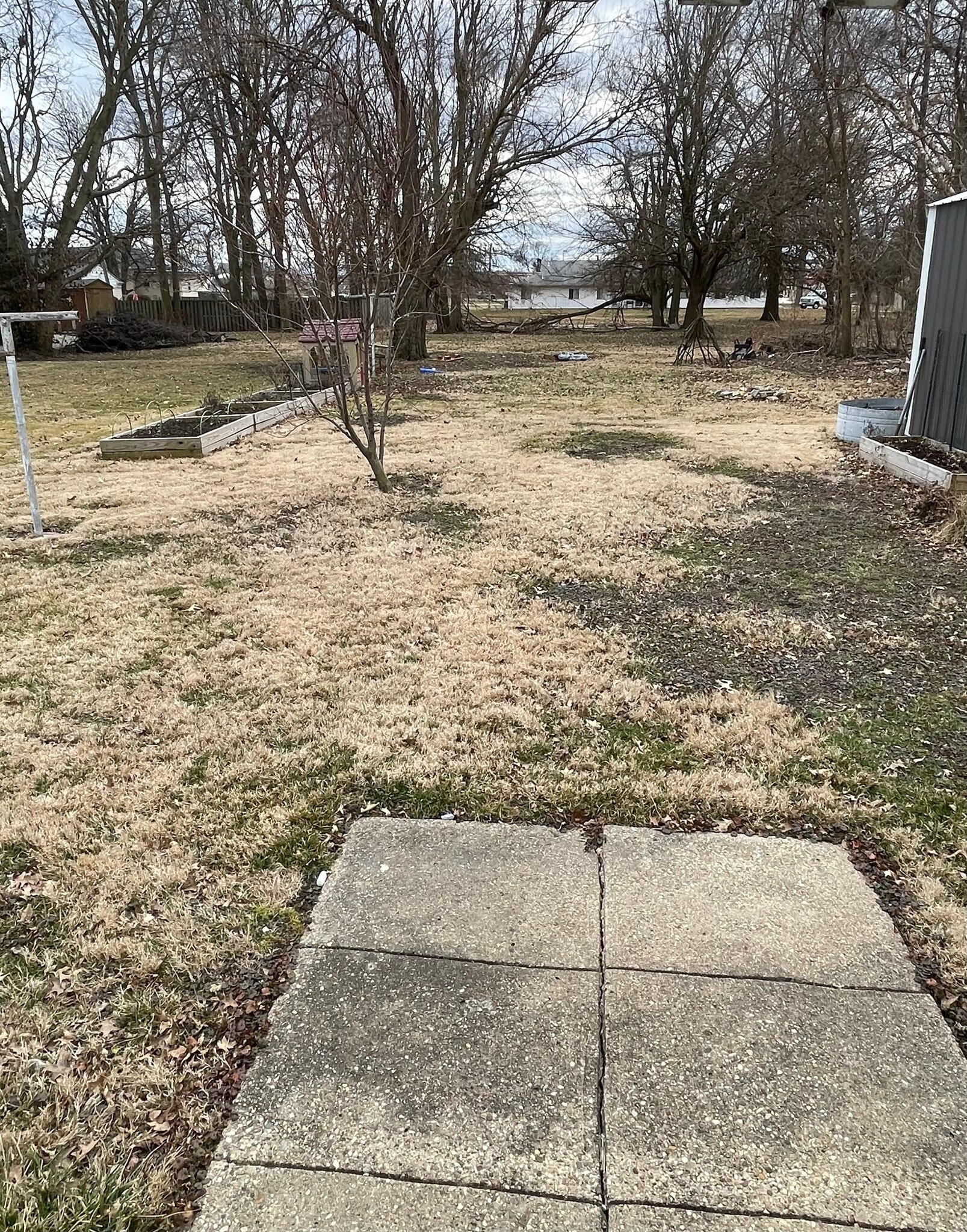 Backyard - 310 W Wilson St