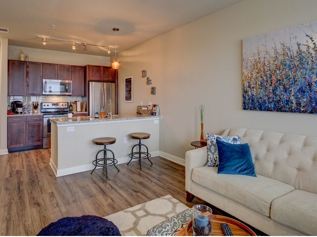 Juno - Living/Kitchen - Northside Apartments