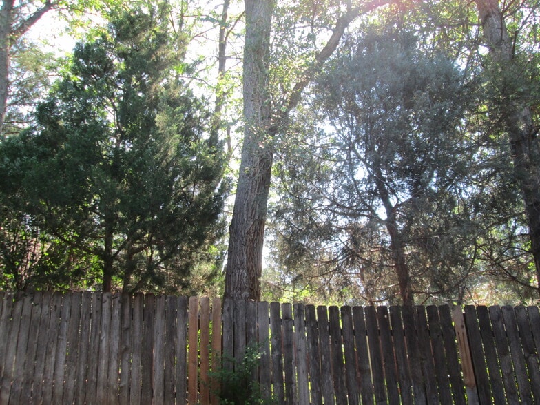 Shaded and semi-private back porch area. - 1440 Edora Rd