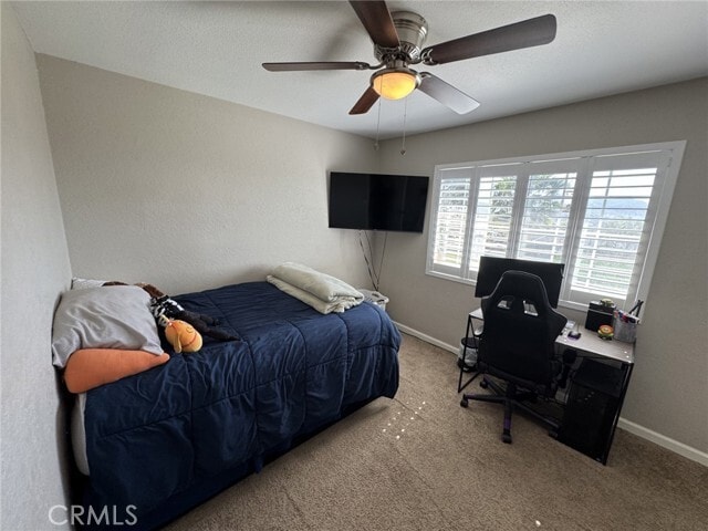 Building Photo - 4061 Mt Rushmore Dr