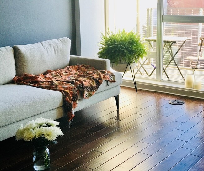 Our bright, cozy, and lovely apartment! - 630 Thomas L Berkley Way