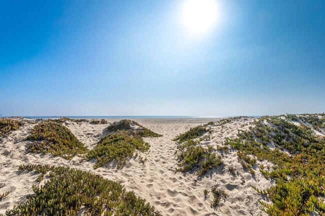 Building Photo - 645 Sunfish Way