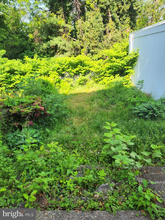 Building Photo - 810 Rundale Ave