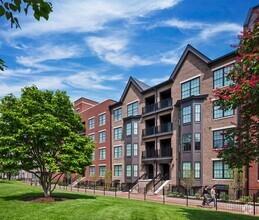 Building Photo - Residences at Topiary Park
