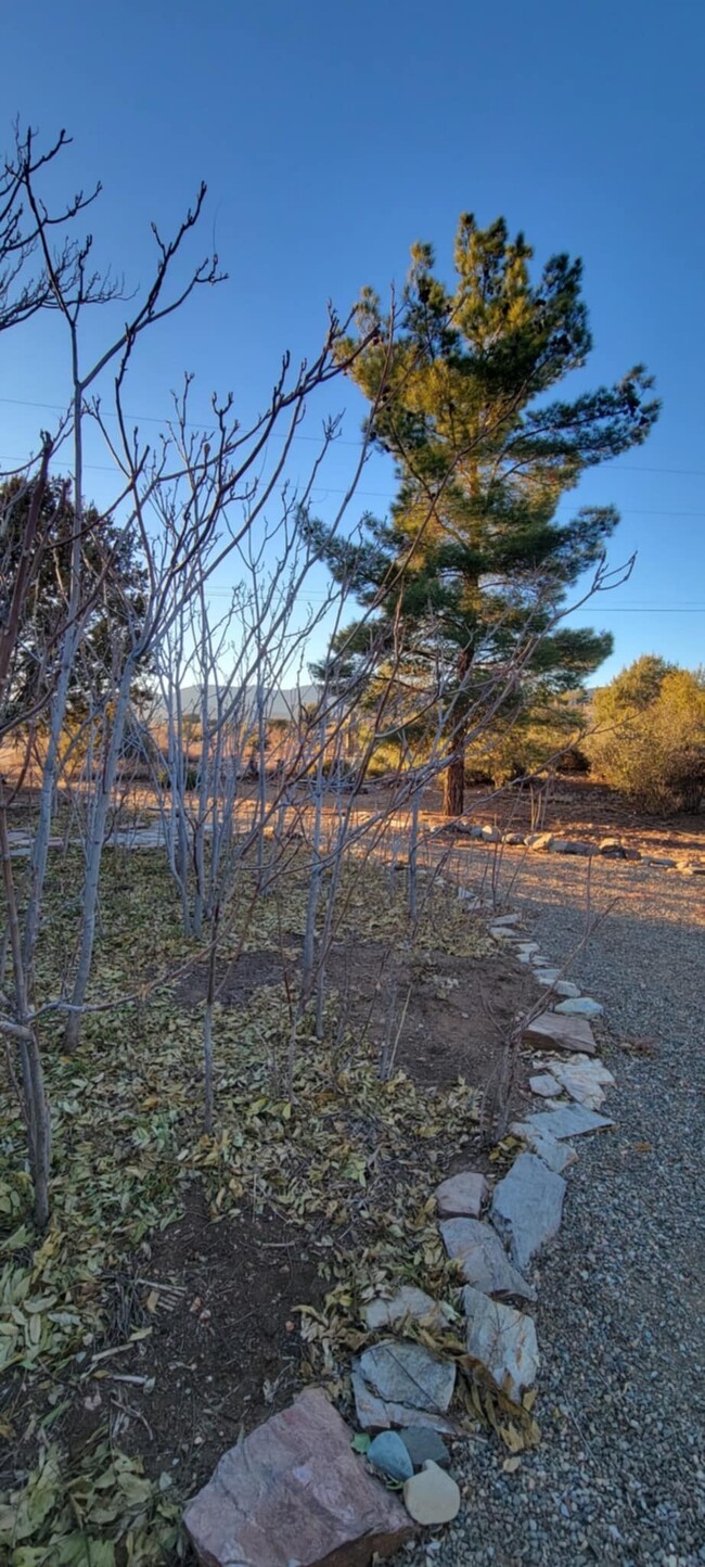 Building Photo - 11400 S Hackberry Trail