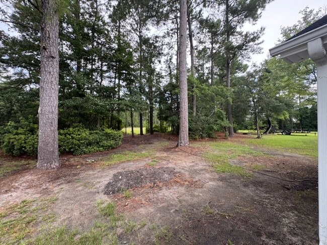 Building Photo - Home in Plantation Pointe