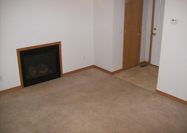 Gas Fireplace and Coat Closet - 3027 N Fremont Ave