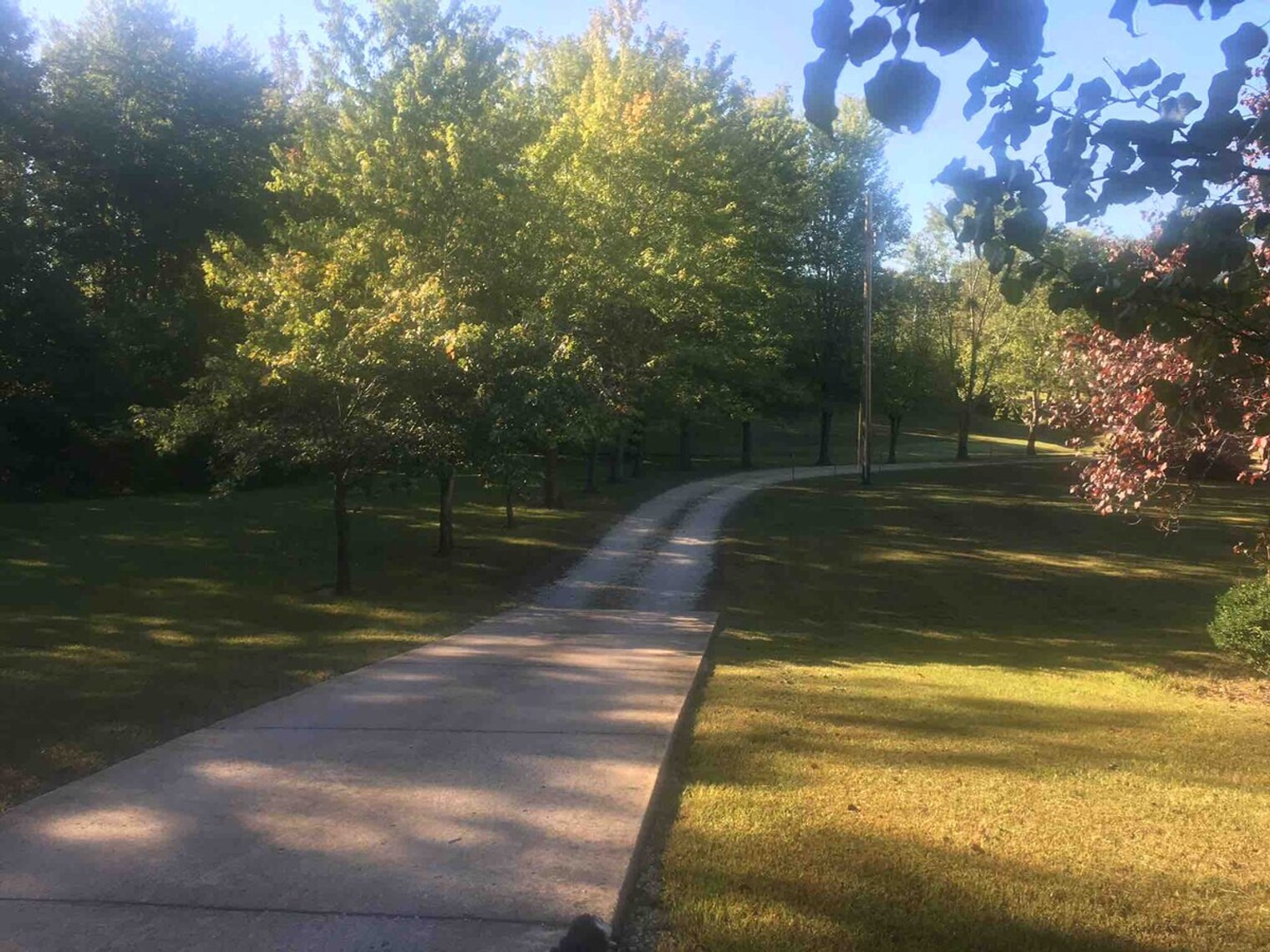 Building Photo - 175 Laveta Ln