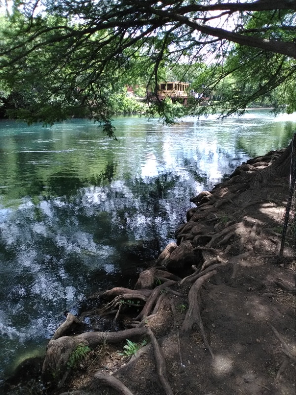 Building Photo - 822 Alabama St