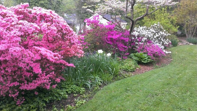 Building Photo - 5334 Nebraska Ave NW