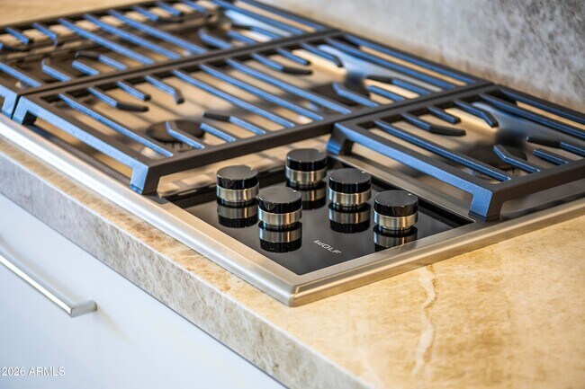 Building Photo - 6587 N Palmeraie Blvd