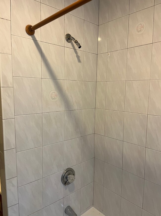 Tub with shower - 4 Melville St
