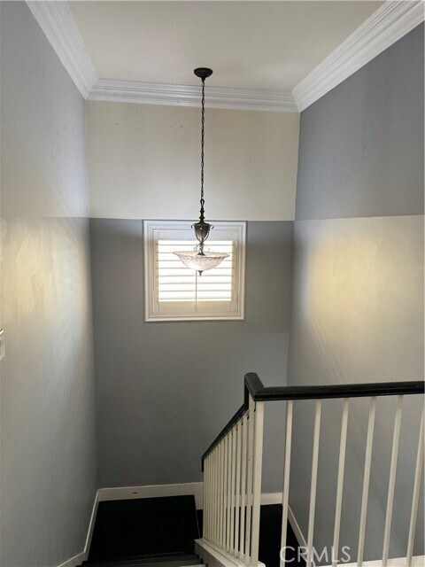 Building Photo - 7825 Danner Ct