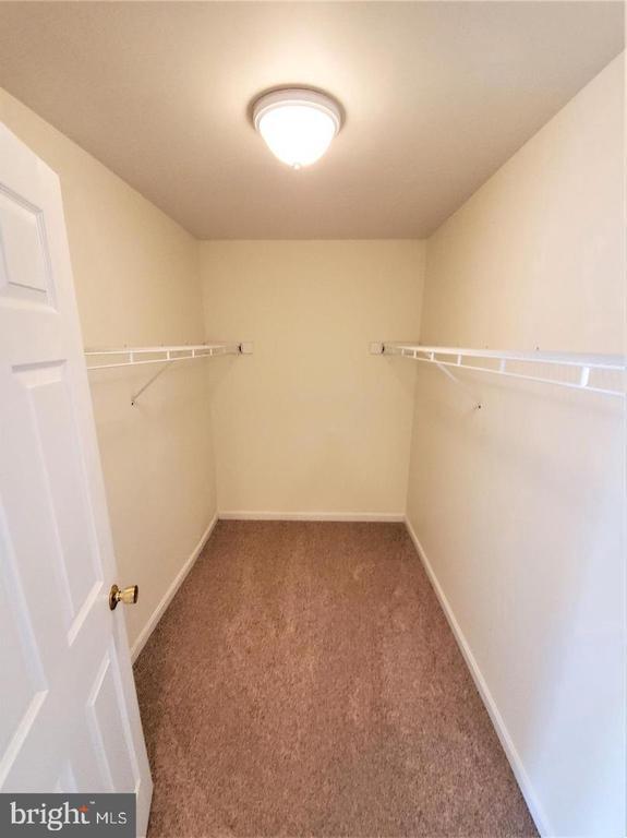 Building Photo - 11406 Fox Chase Ct