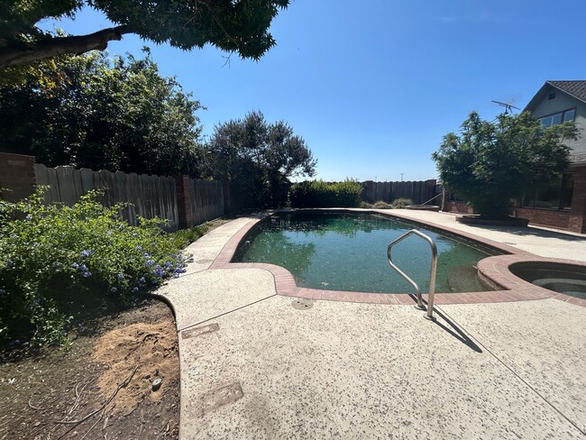 Building Photo - Country home with inground pool/spa. Pool ...