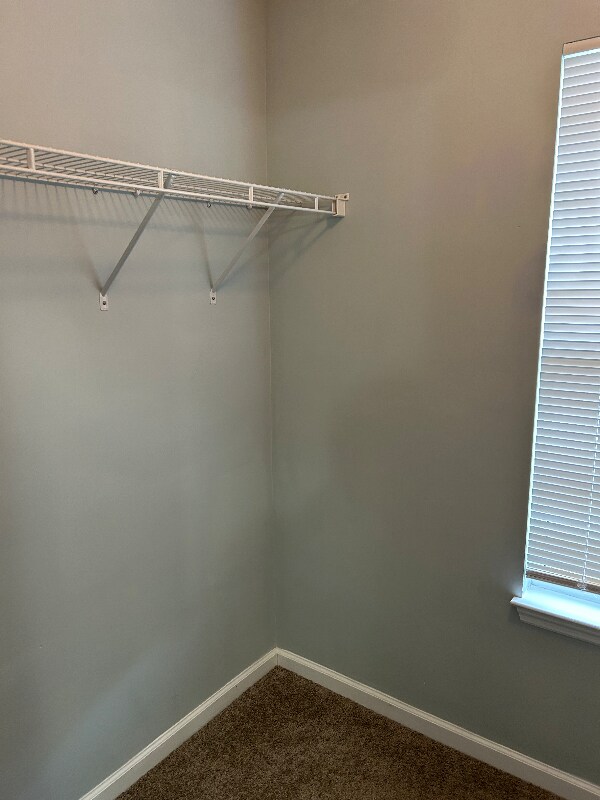 Building Photo - 305 Rose Marie Ln