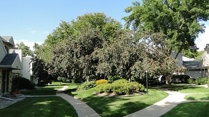 Building Photo - 6964 Park Ridge Dr