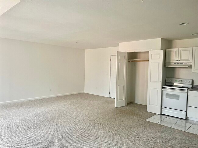 Building Photo - 205 Chapin St