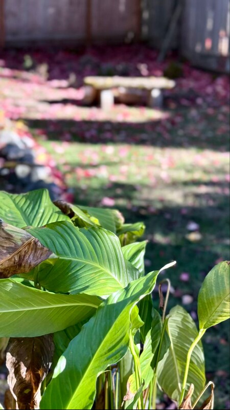 Building Photo - 215 19th Ave