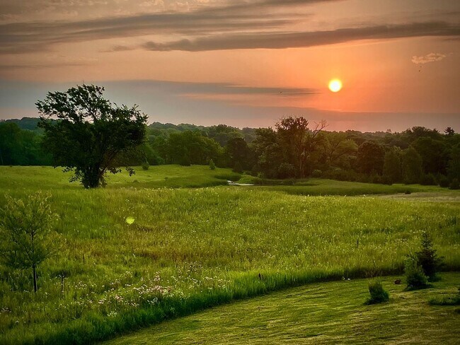 Building Photo - 220 Meadow Woods Dr