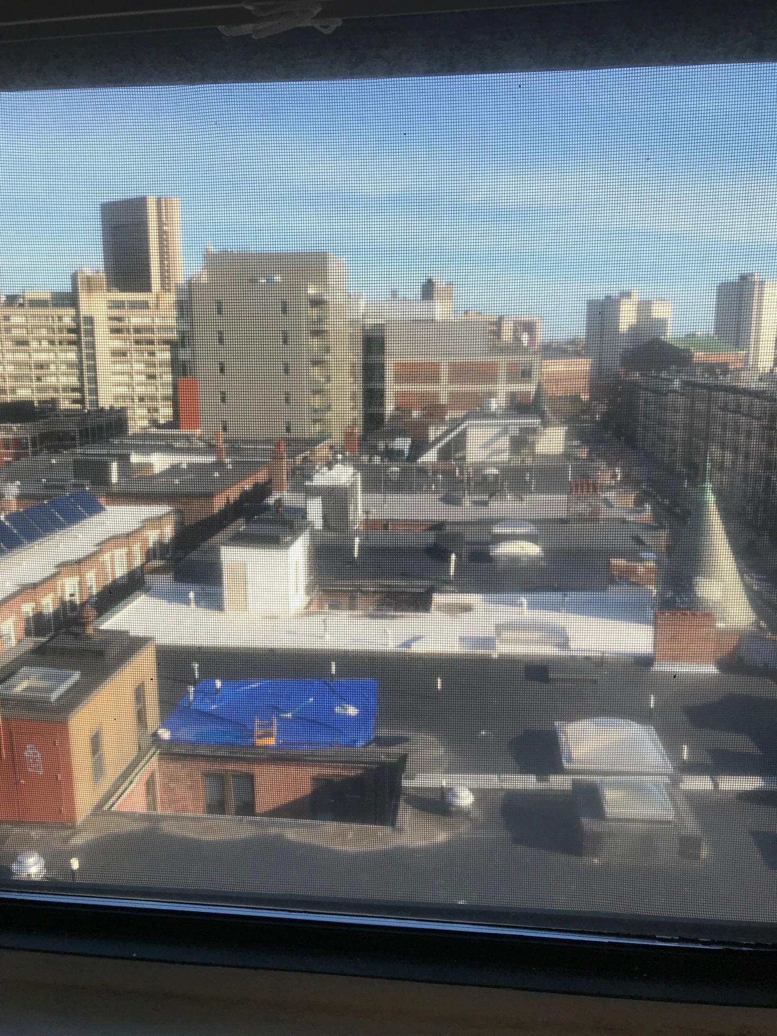 Building Photo - 81 Westland Ave