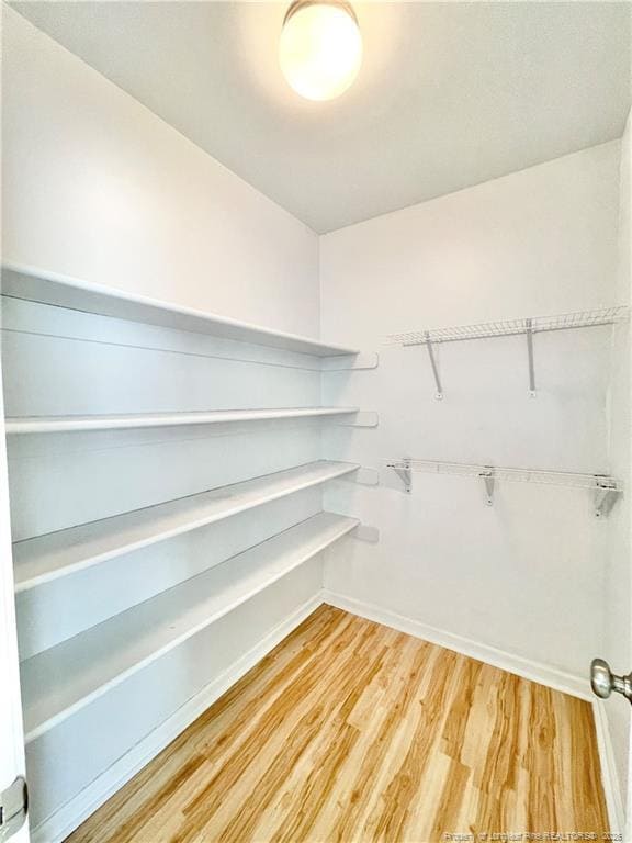 Building Photo - 332 Juno Dr