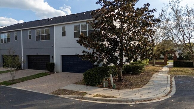 Building Photo - 1601 Bonnie Rue Ln